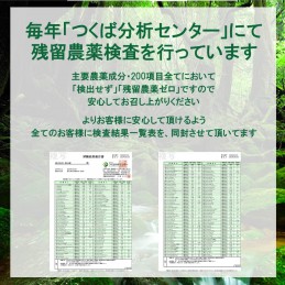 2023年 新茶 屋久島自然栽培茶「深山の露」 水出し/ 無農薬/ 無化学肥料/ 残留農薬ゼロ (100ｇ×2袋)