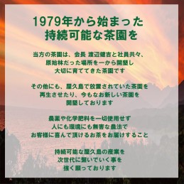 2023年 新茶 屋久島自然栽培茶「深山の露」 水出し/ 無農薬/ 無化学肥料/ 残留農薬ゼロ (100ｇ×2袋)