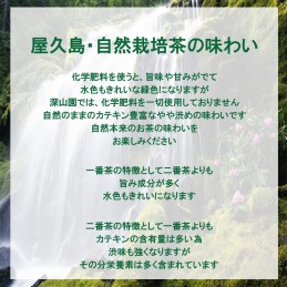 2023年 新茶 屋久島自然栽培茶「深山の露」 水出し/ 無農薬/ 無化学肥料/ 残留農薬ゼロ (100ｇ×2袋)