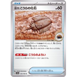 古びたこうらの化石 155/165 C