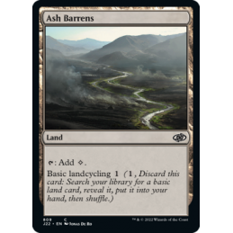 【EN】Ash Barrens  