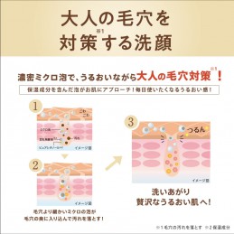 Nameraka Honpo WR Cleansing Face Wash for Adult Pores, Aging Care, Wrinkle Line (N), 5.3 oz (150 g) x 1