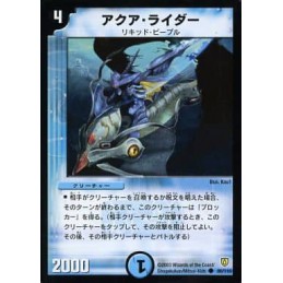 Aqua Rider DM-06 80/110 C